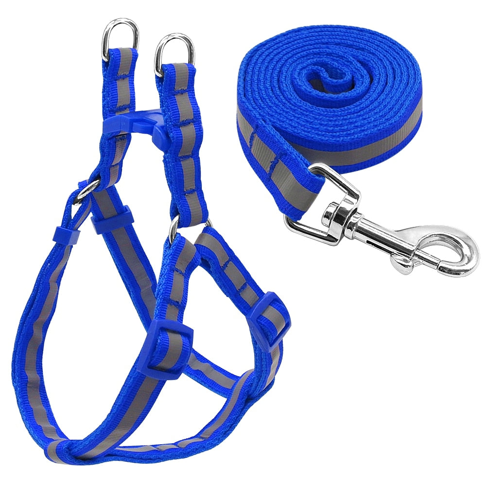 Dog Leash & Harness Set