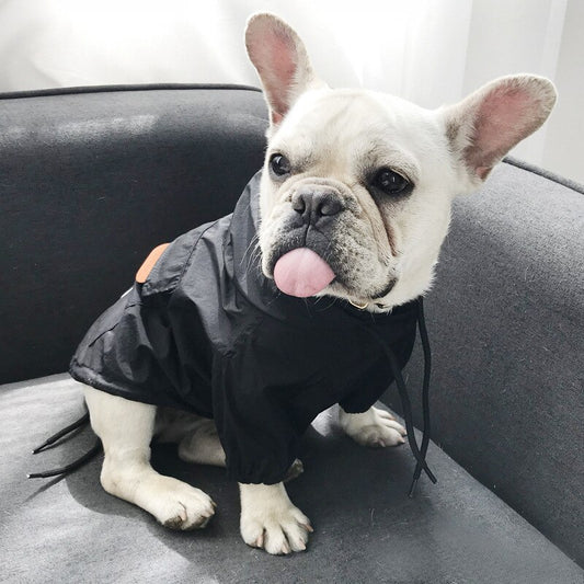 Small Stylish Dog Jacket