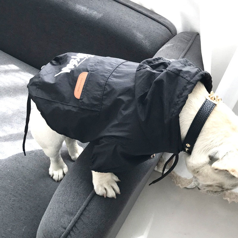 Small Stylish Dog Jacket