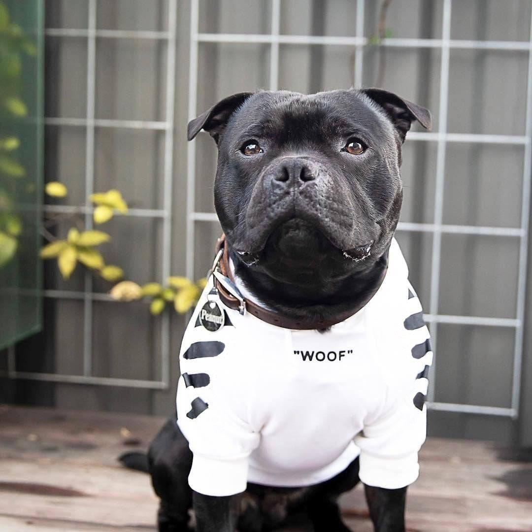 Woof Streetwear Hoodie