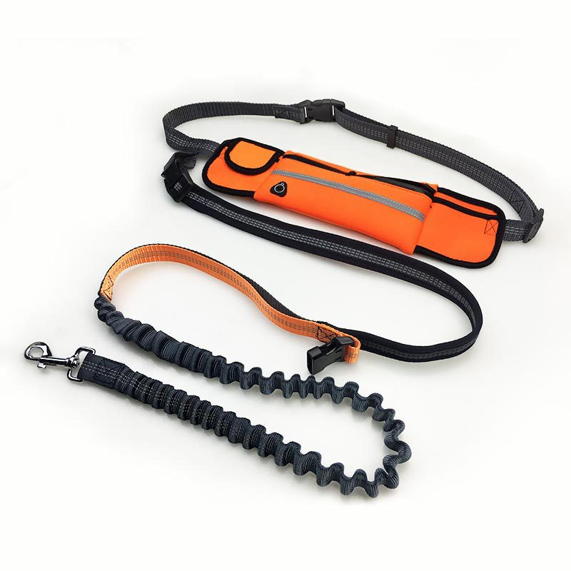 Hands-Free Bungee Dog Leash