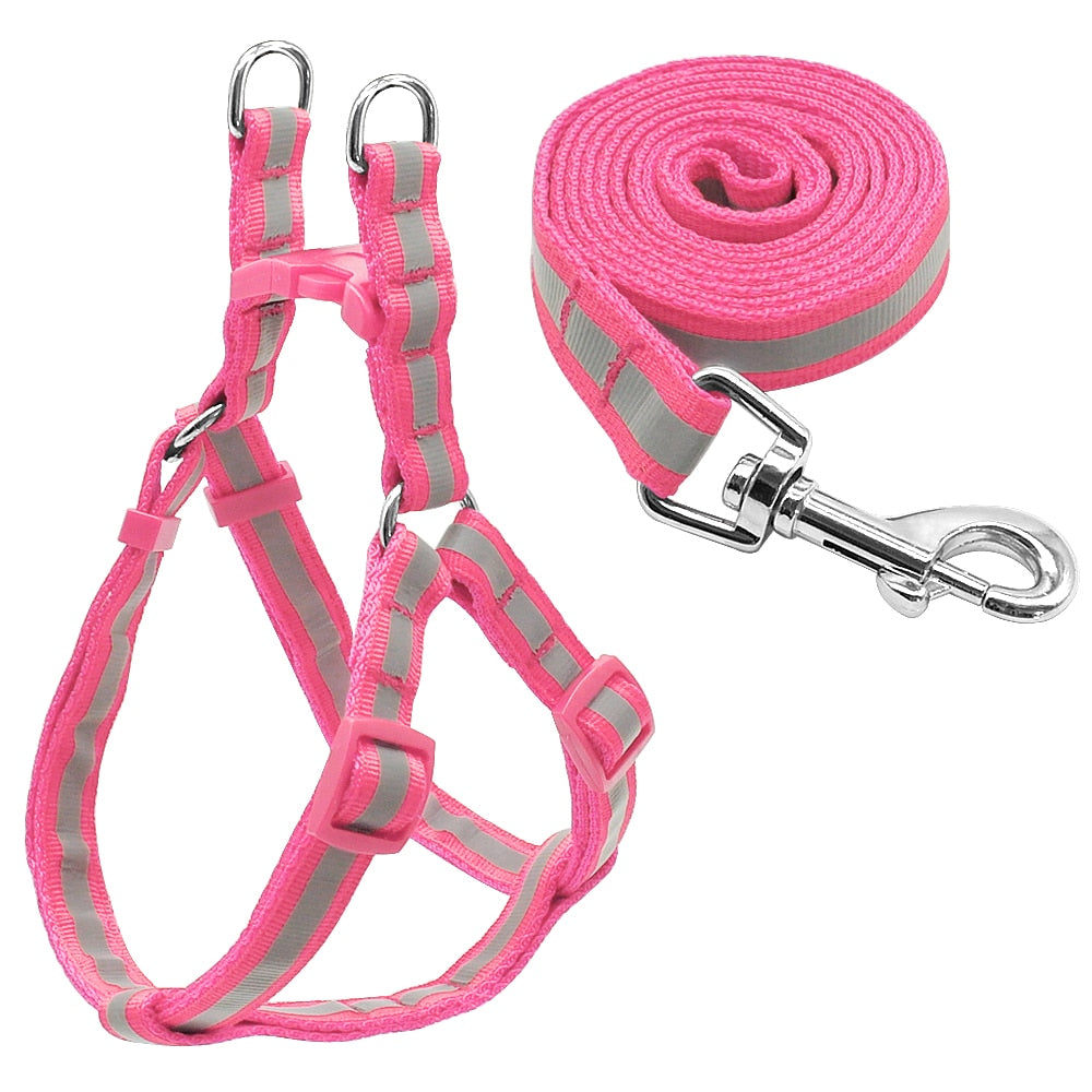 Dog Leash & Harness Set