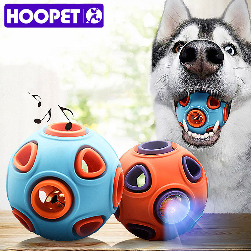 Lights & Sounds Dog Chew Toy