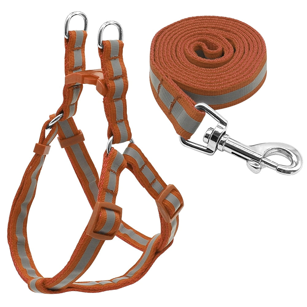 Dog Leash & Harness Set