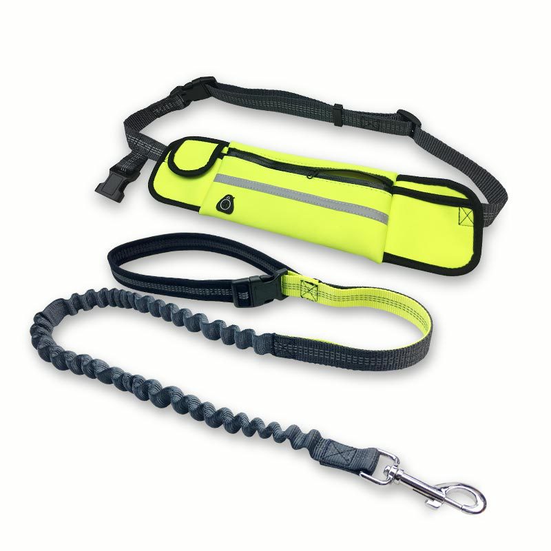 Hands-Free Bungee Dog Leash