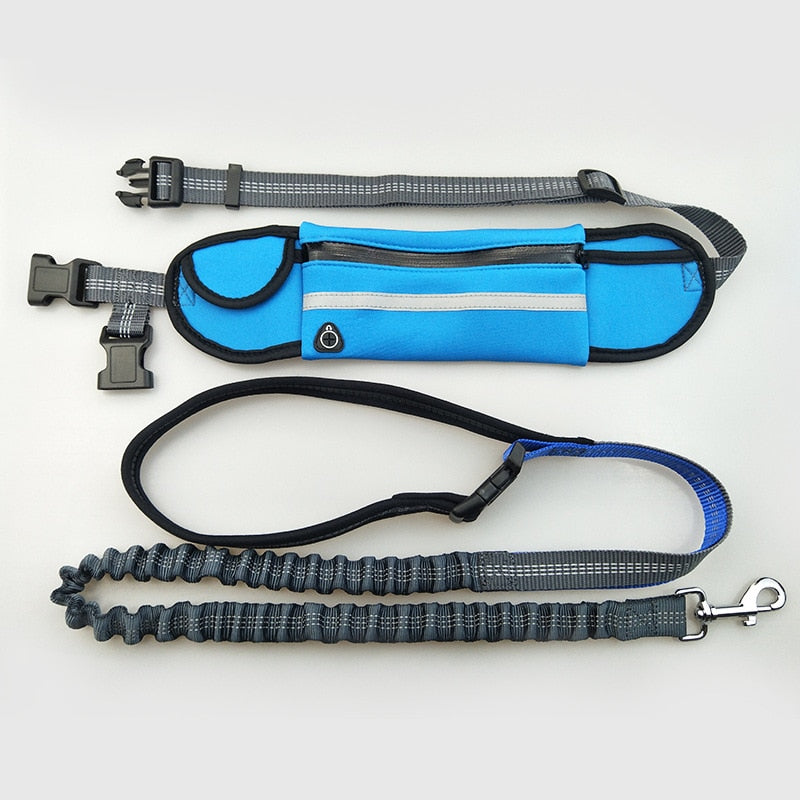 Hands-Free Bungee Dog Leash