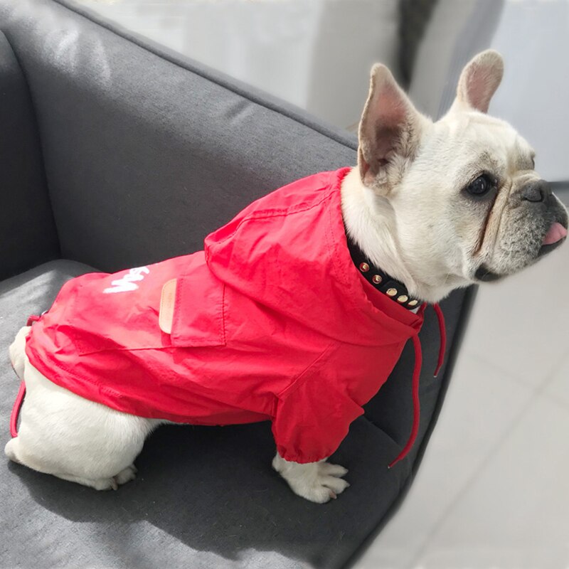 Small Stylish Dog Jacket