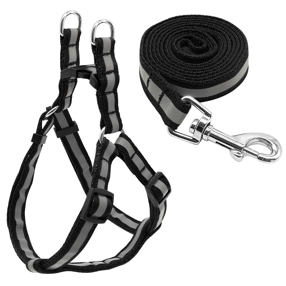 Dog Leash & Harness Set