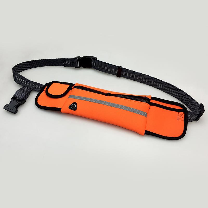 Hands-Free Bungee Dog Leash