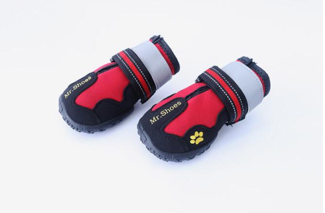 Mountain Wearable Sport Shoes