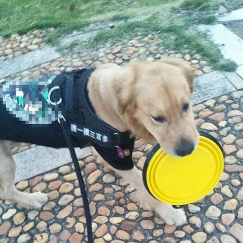 Collapsible Travel Bowl