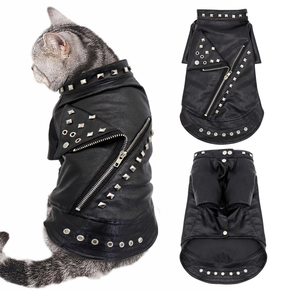 Leather Cat Jacket