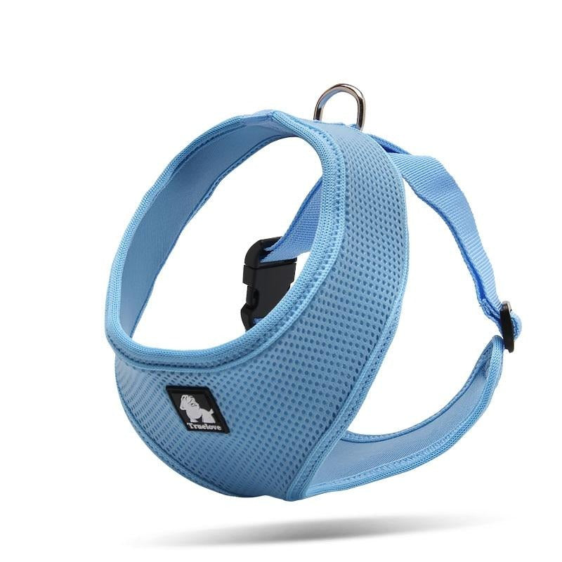 Small Pet Nylon Harness