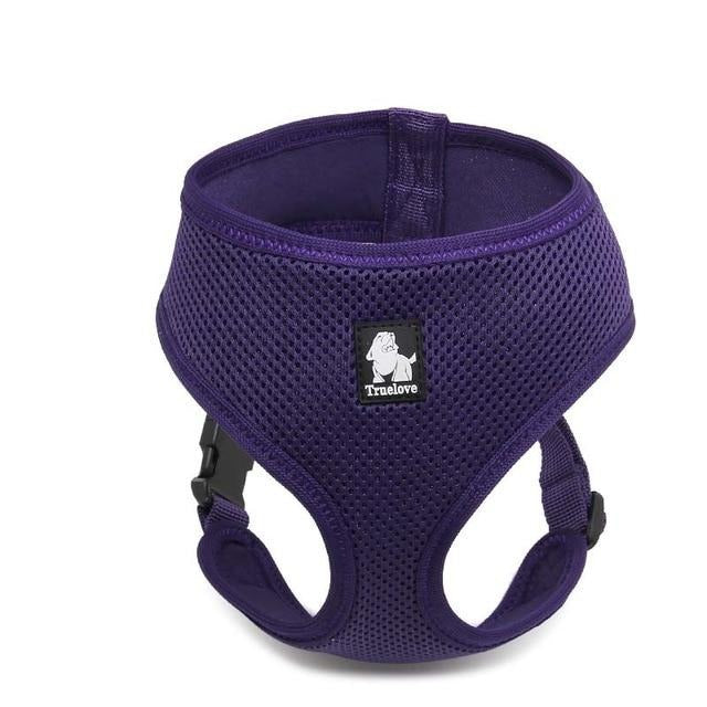 Small Pet Nylon Harness