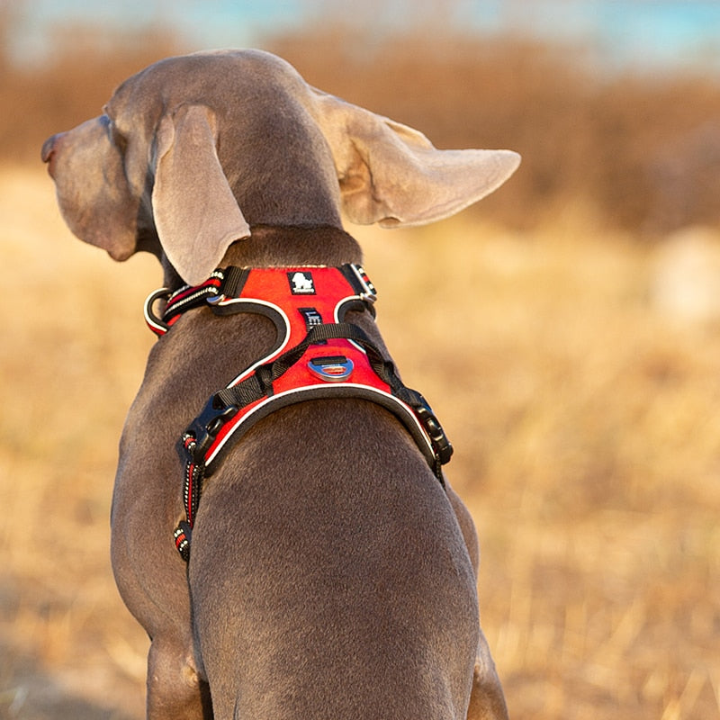 Truelove Reflective Nylon Dog Harness