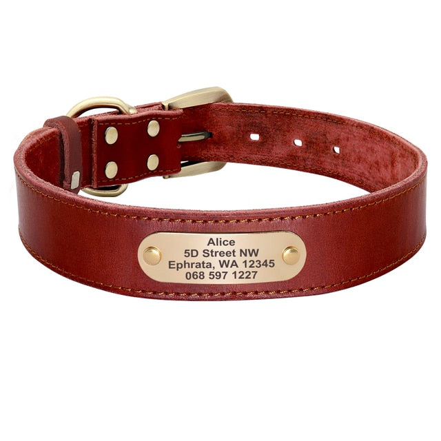 Custom Leather Collar Leash Set