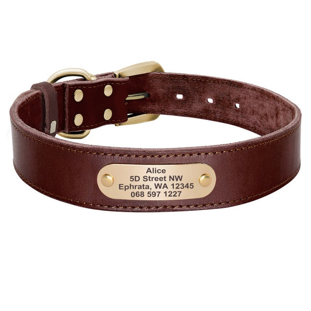 Custom Leather Collar Leash Set