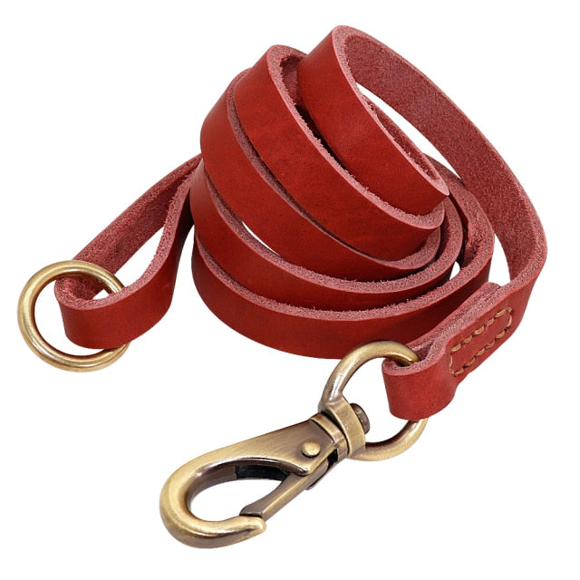 Custom Leather Collar Leash Set