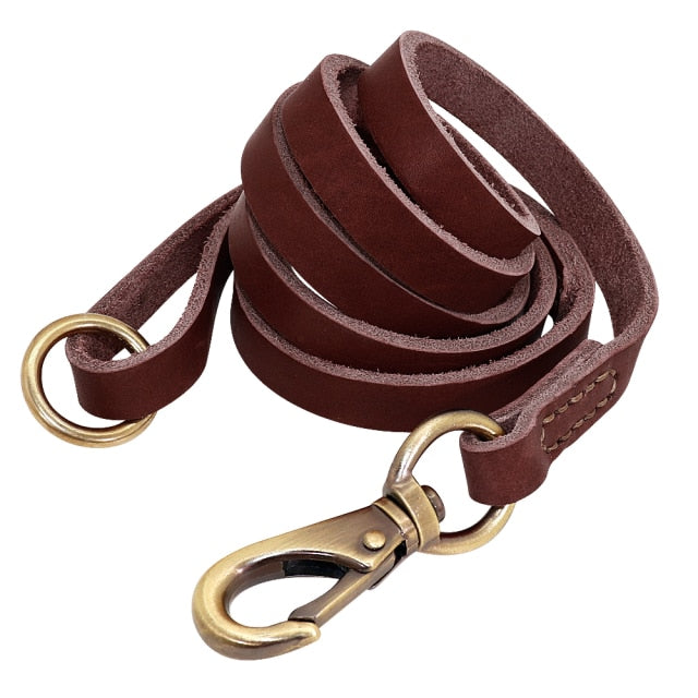 Custom Leather Collar Leash Set