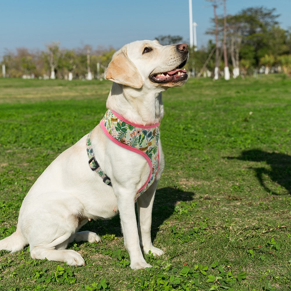 Cute Printed Adjustable Harness Adjustable