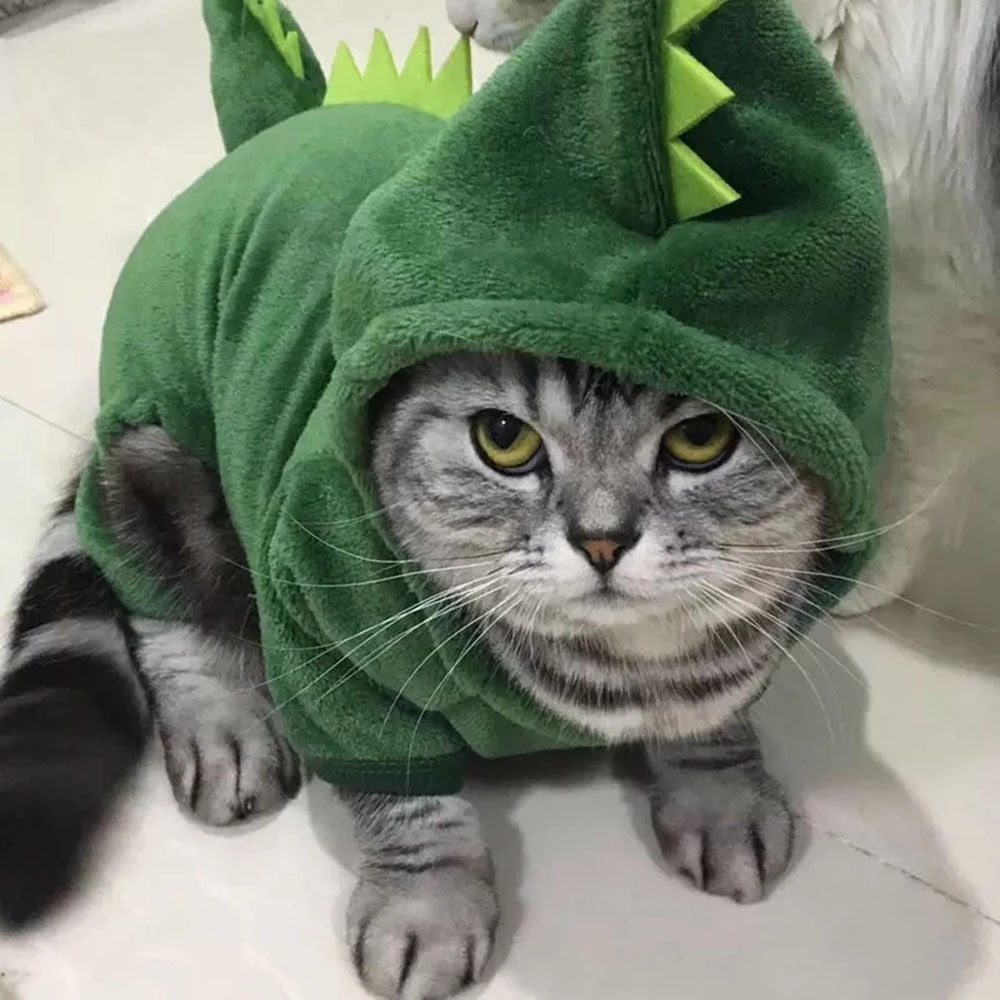 Funny Dinosaur Costume