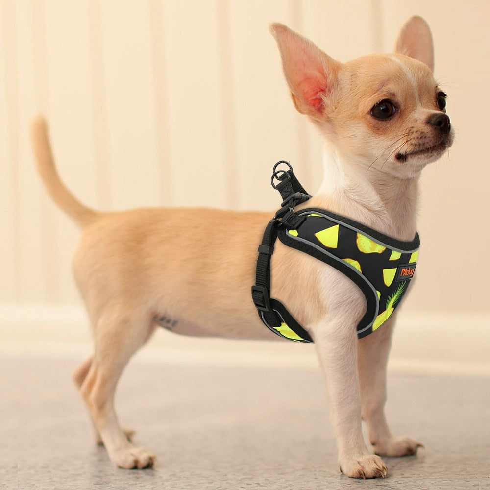 Nylon Reflective Printed Harness