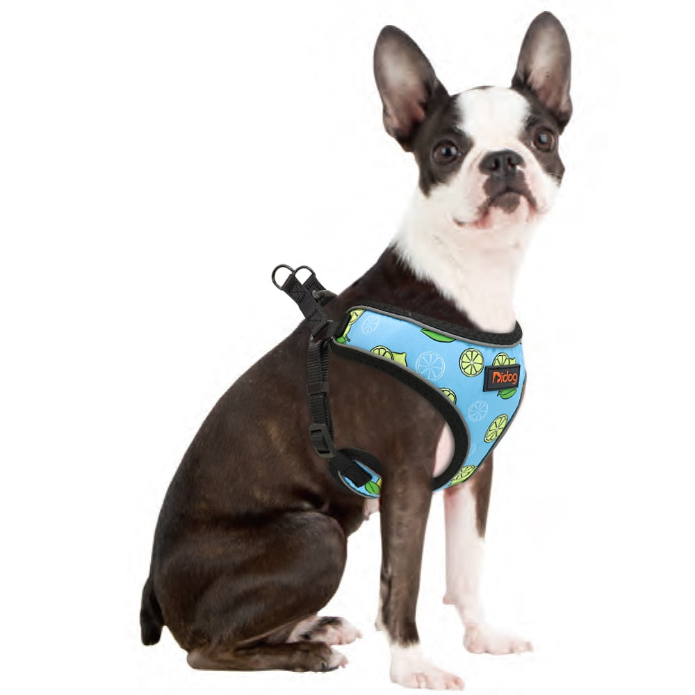 Nylon Reflective Printed Harness