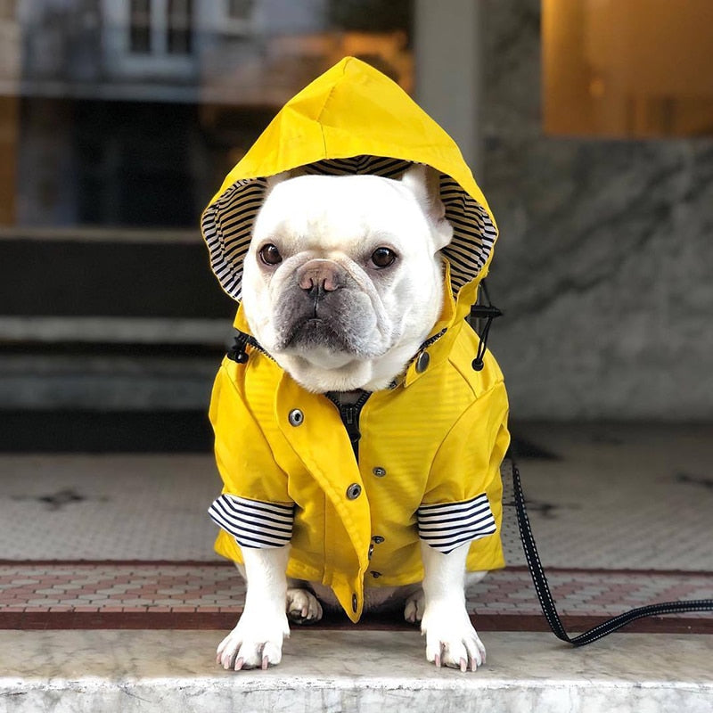 Raincoat for Small/Medium Dogs