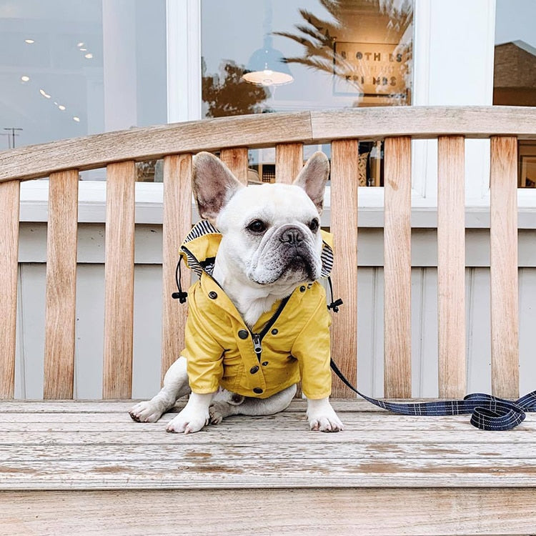 Raincoat for Small/Medium Dogs