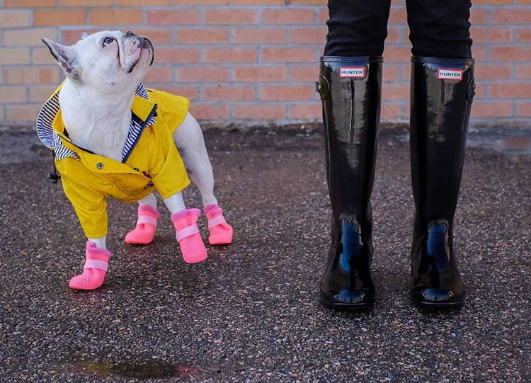 Raincoat for Small/Medium Dogs