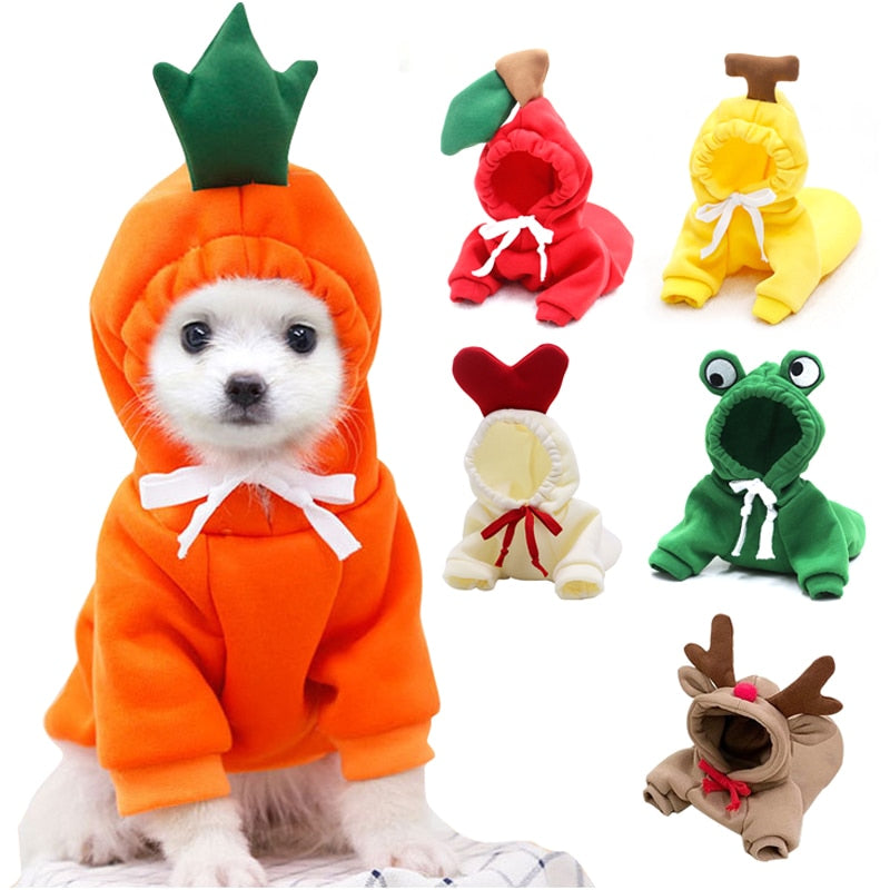 Cute Pet Costumes