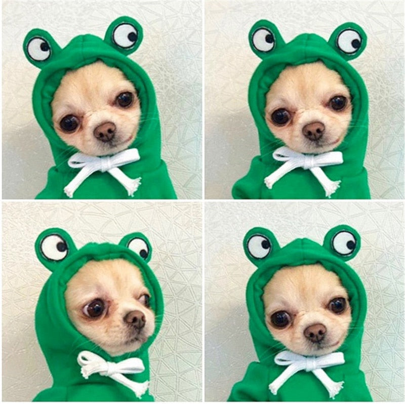 Cute Pet Costumes