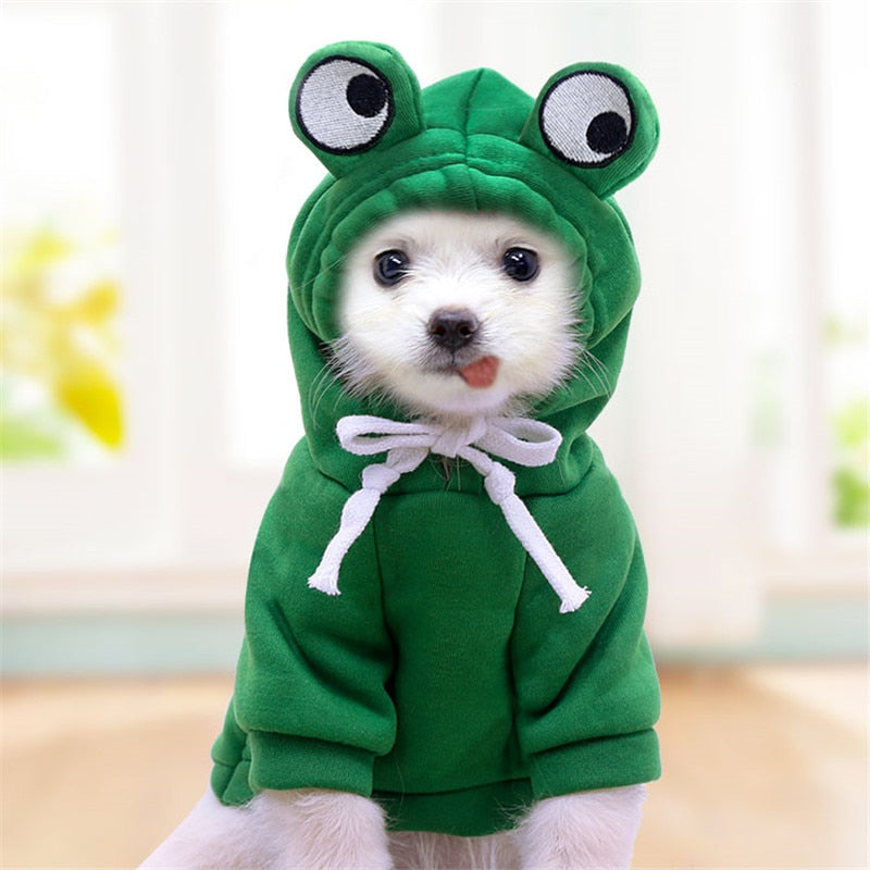 Cute Pet Costumes