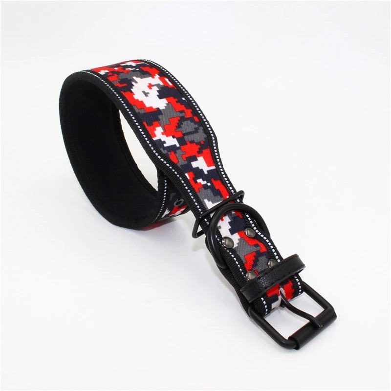 Large Reflective Buckle Collar