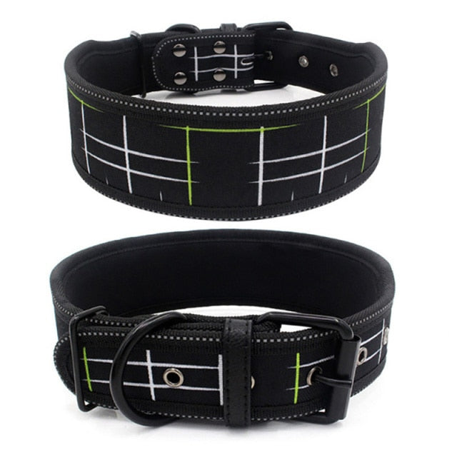 Large Reflective Buckle Collar