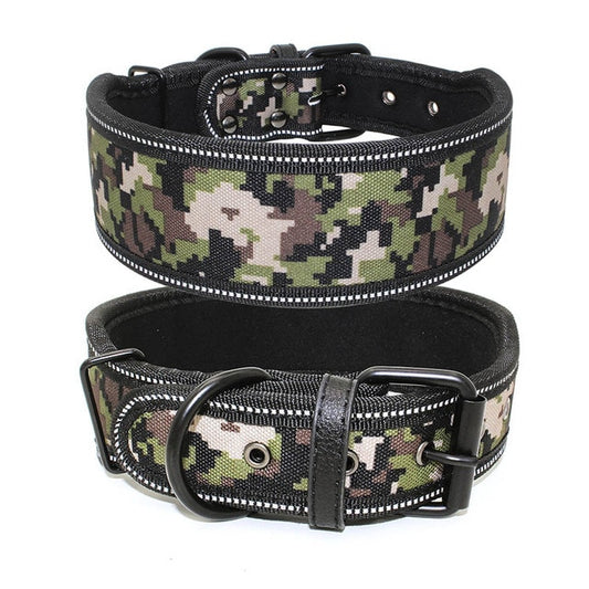 Large Reflective Buckle Collar