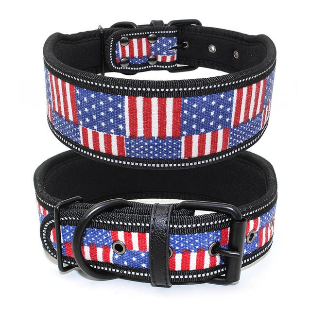 Large Reflective Buckle Collar