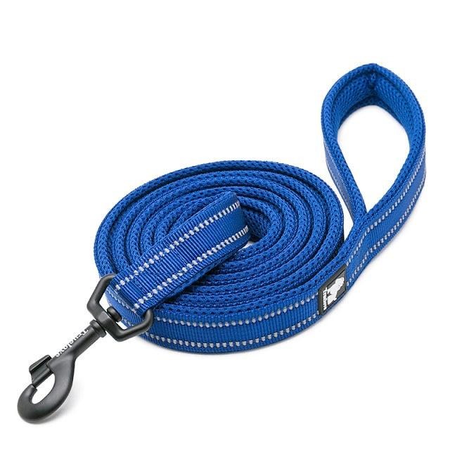 Truelove Reflective Nylon Leash