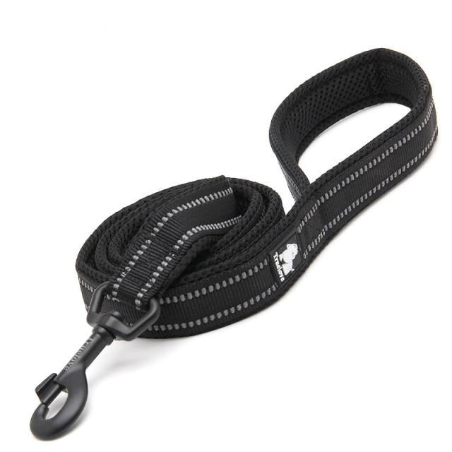 Truelove Reflective Nylon Leash