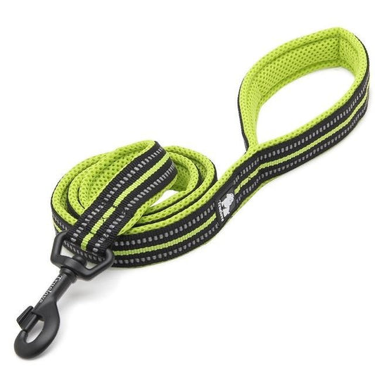 Truelove Reflective Nylon Leash