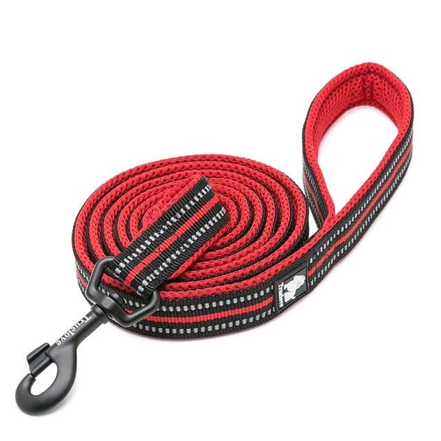 Truelove Reflective Nylon Leash