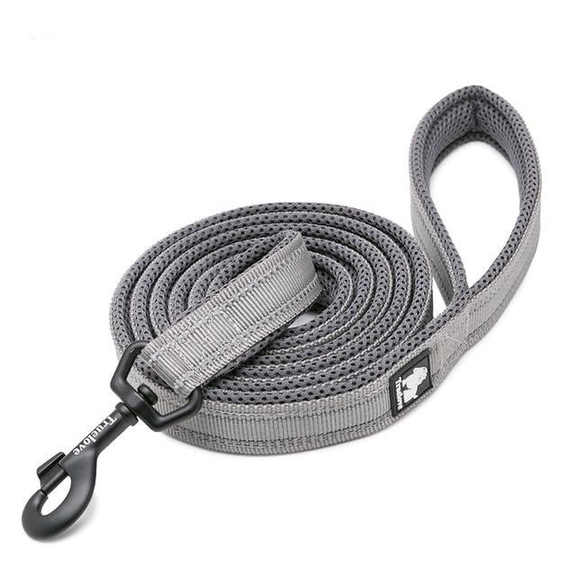 Truelove Reflective Nylon Leash