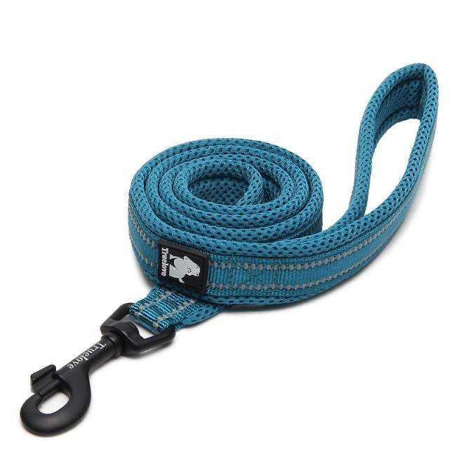 Truelove Reflective Nylon Leash