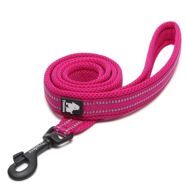 Truelove Reflective Nylon Leash