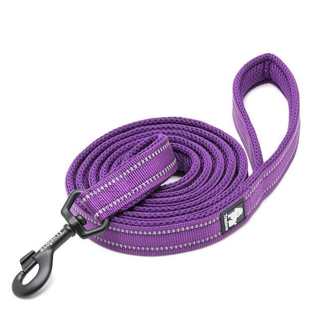 Truelove Reflective Nylon Leash