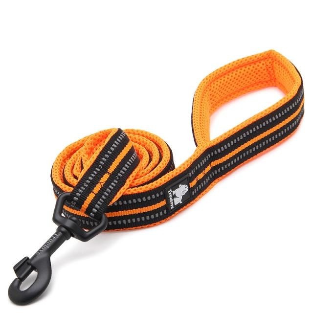 Truelove Reflective Nylon Leash