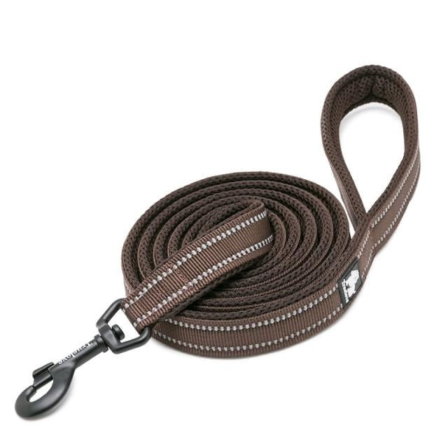 Truelove Reflective Nylon Leash