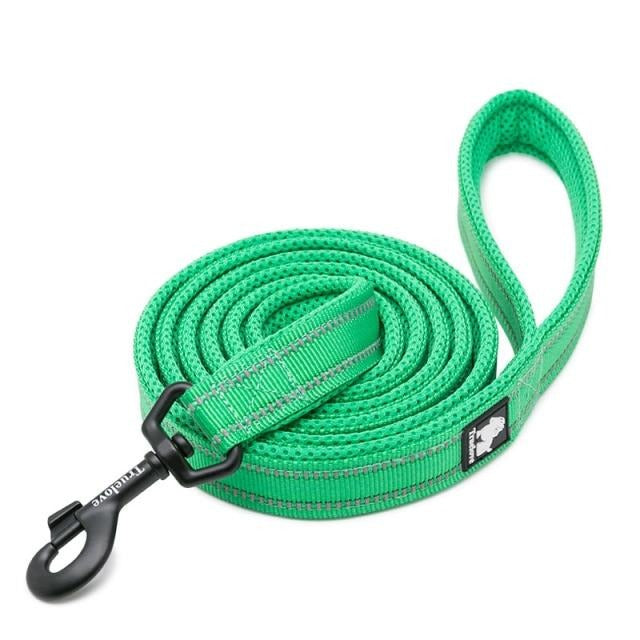 Truelove Reflective Nylon Leash