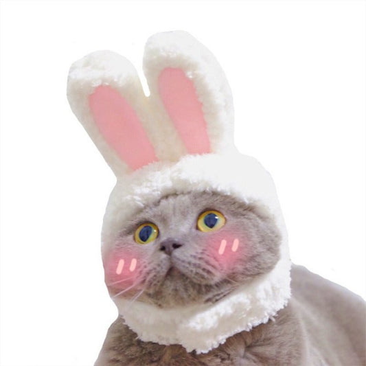 Bunny Rabbit Costume