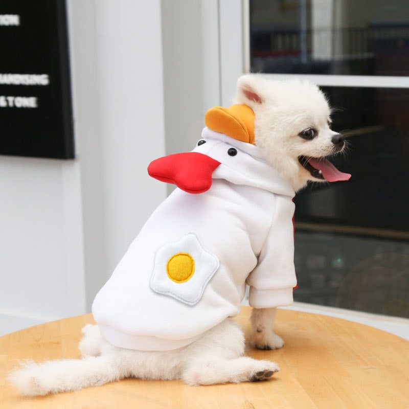 Cute Pet Costumes